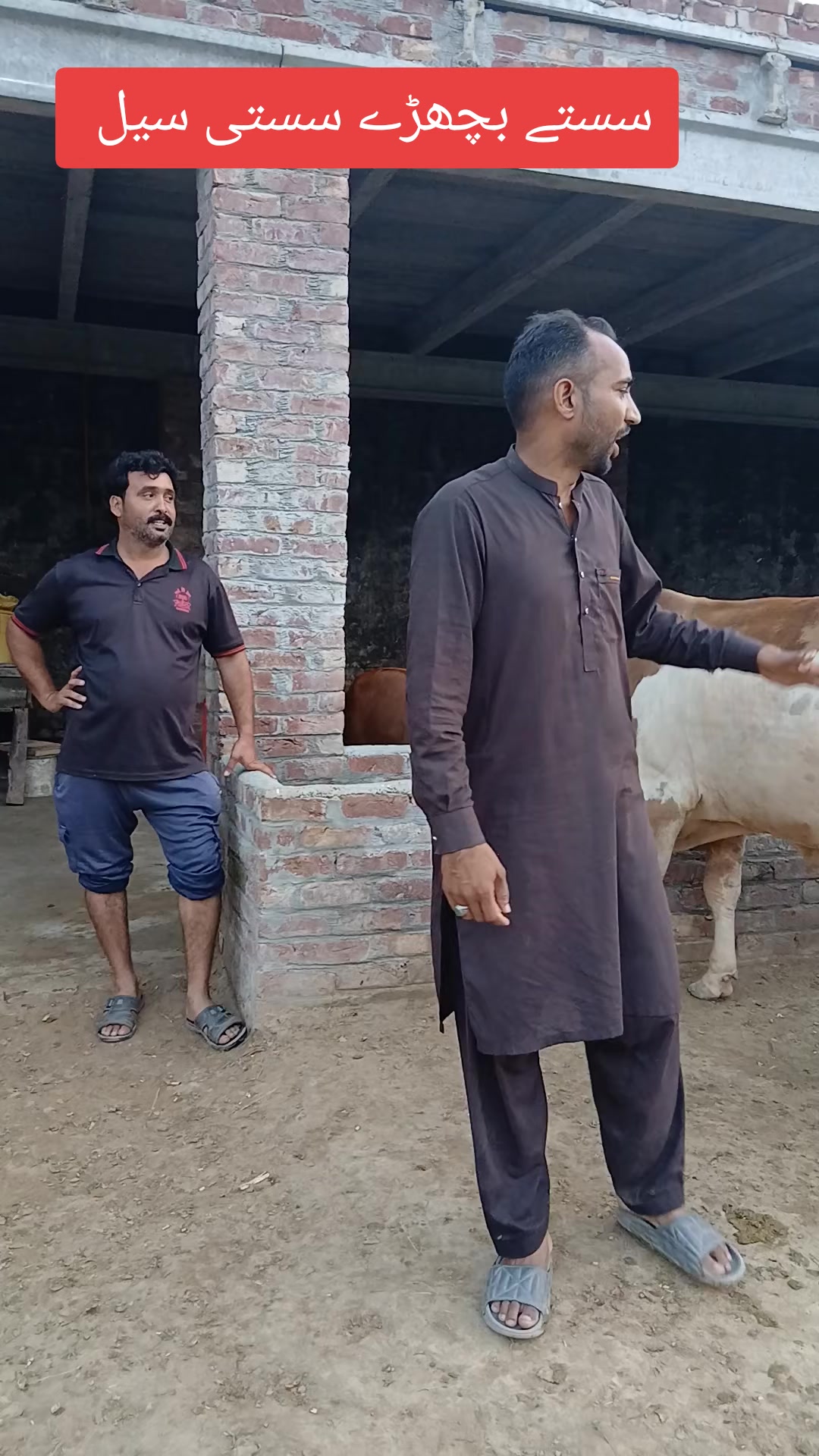 @Farming and Business Ideas