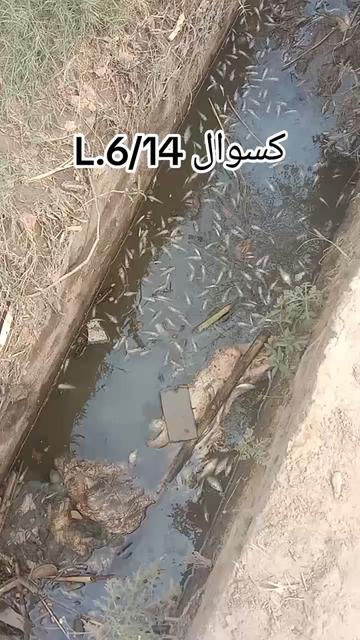 @SAJID JAAN 656