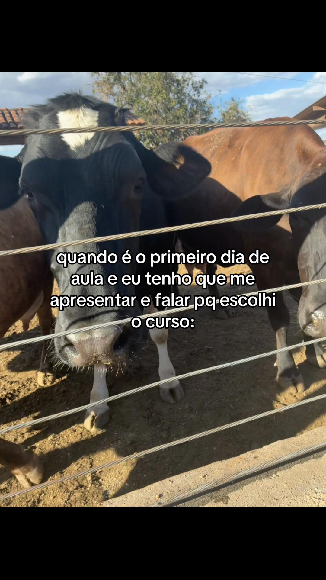 @Fernando 🇧🇷