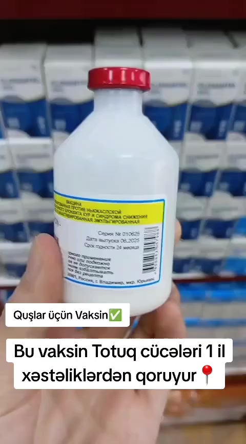 @Veterinar Dr.Firdovsi | Baytar
