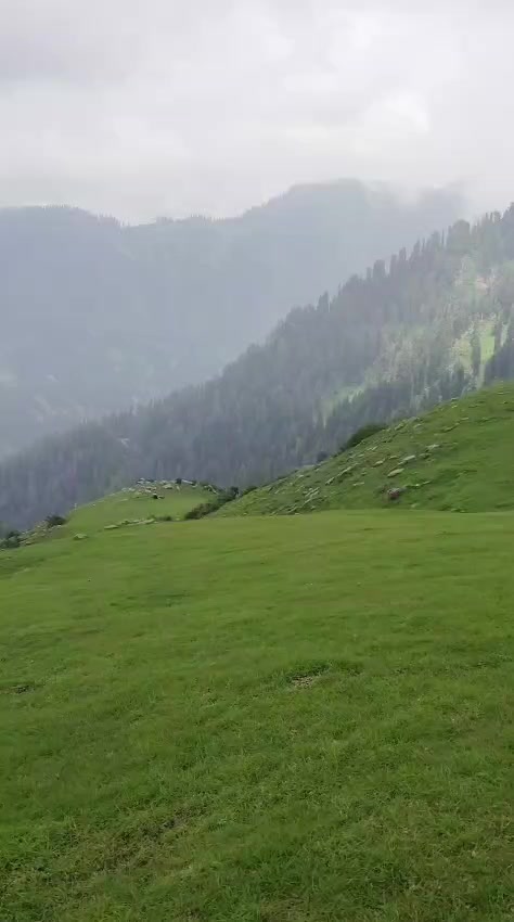 @Chowdary