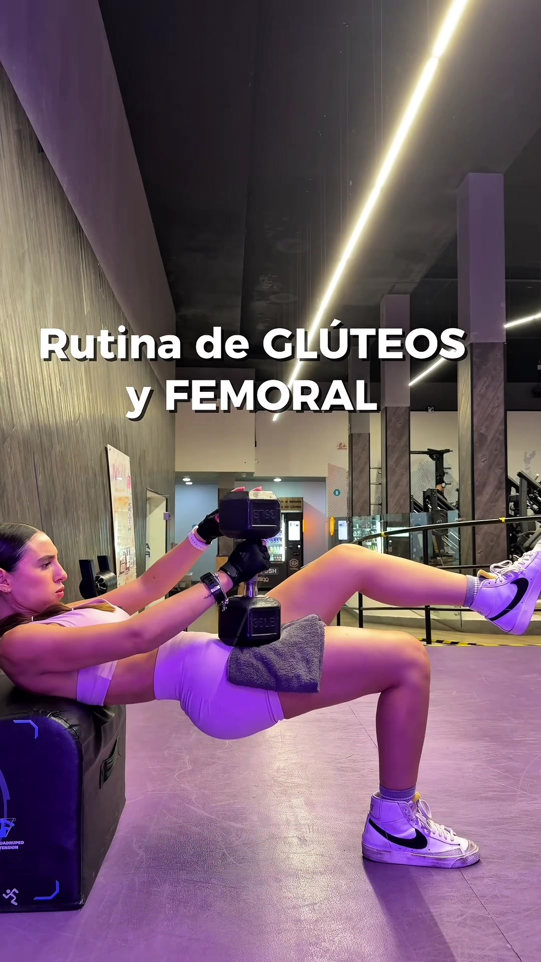 @alefitness