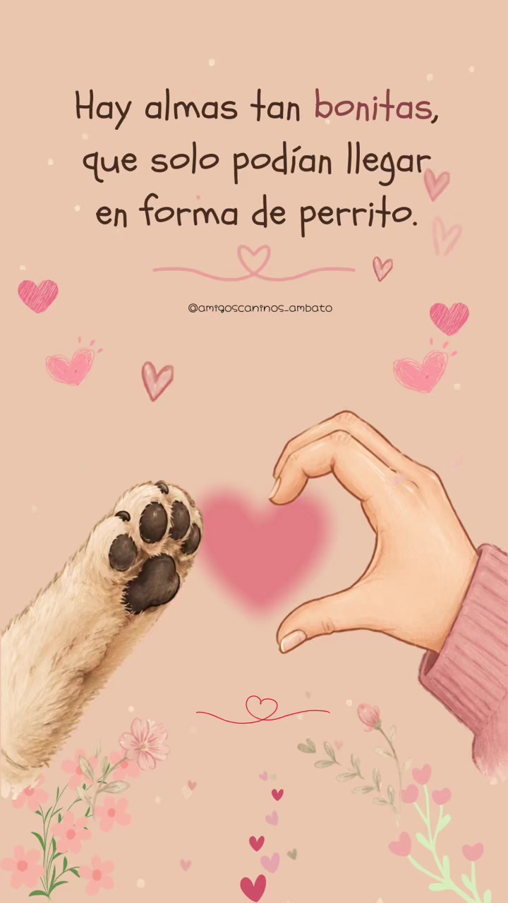 @Amigoscaninos_Ambato