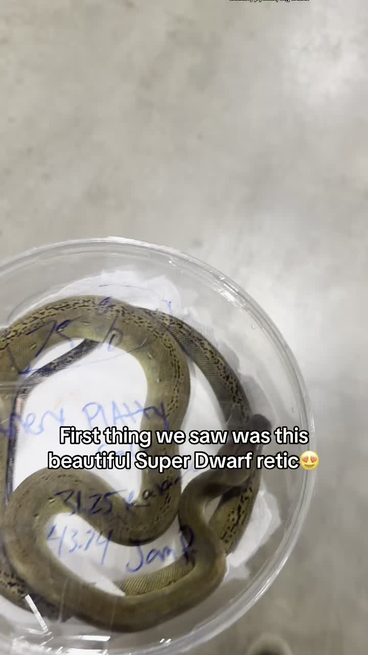 @That Reptile Guy