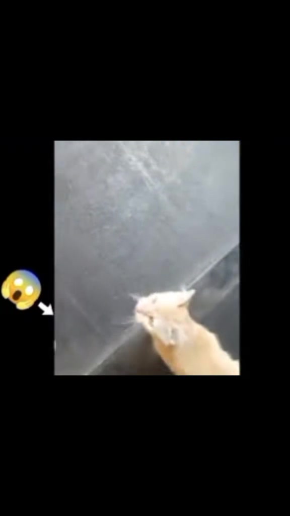 @โถ๐คท๐ปโ๏ธ¹โถ