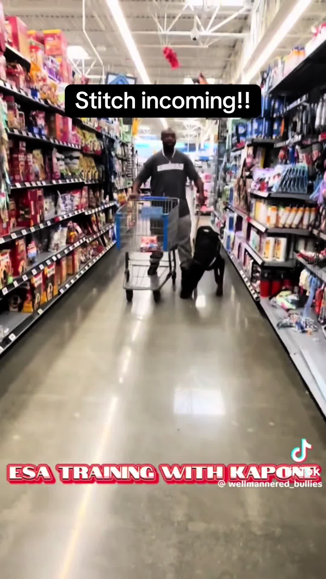 @duchesstheworkingdog