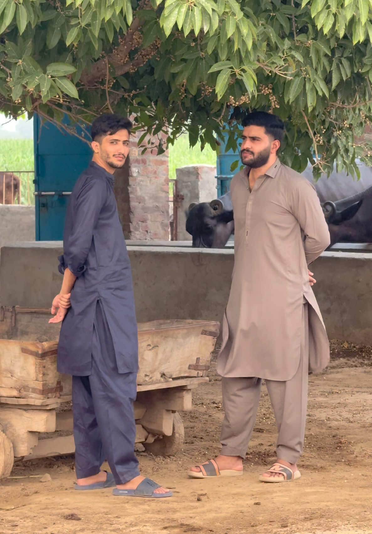 @Sardar Abdullah Bajwa 185