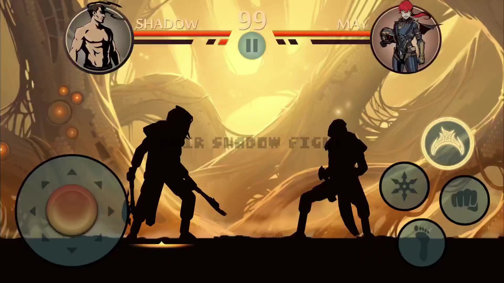 @Amir Shadow Fight