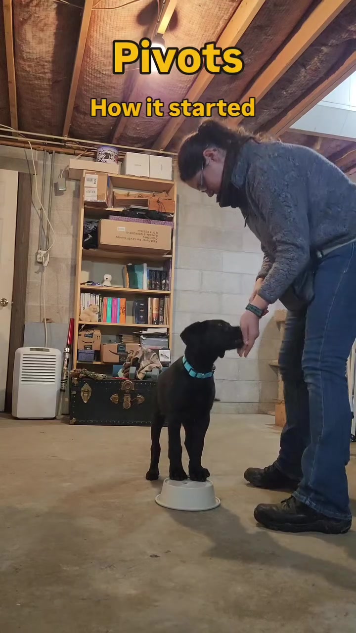 @PetFitness