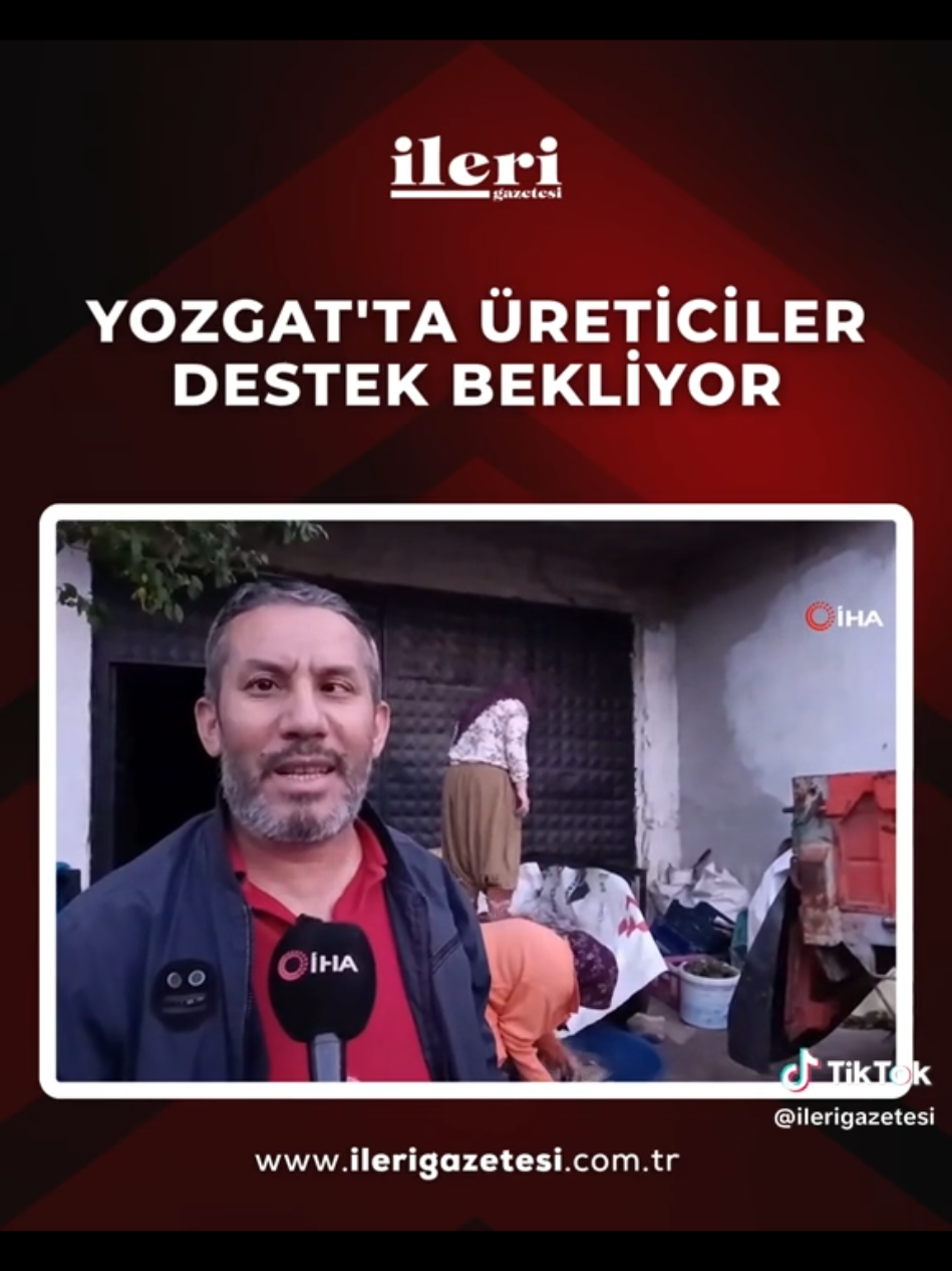@mesut süzener
