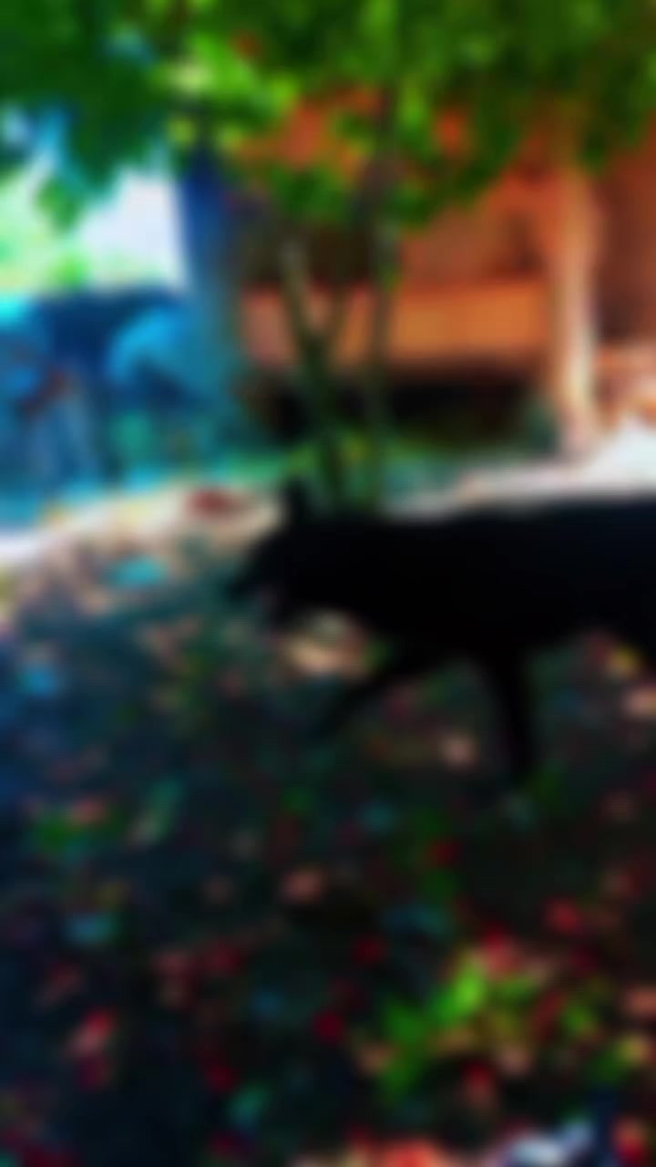 @خـــيــرو 🇩🇪🐺