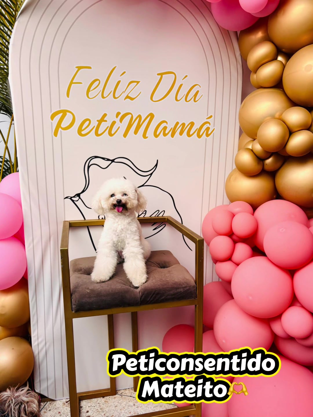 @🐾 Petisos 🐾