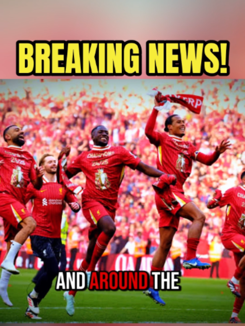 @Liverpool Daily News