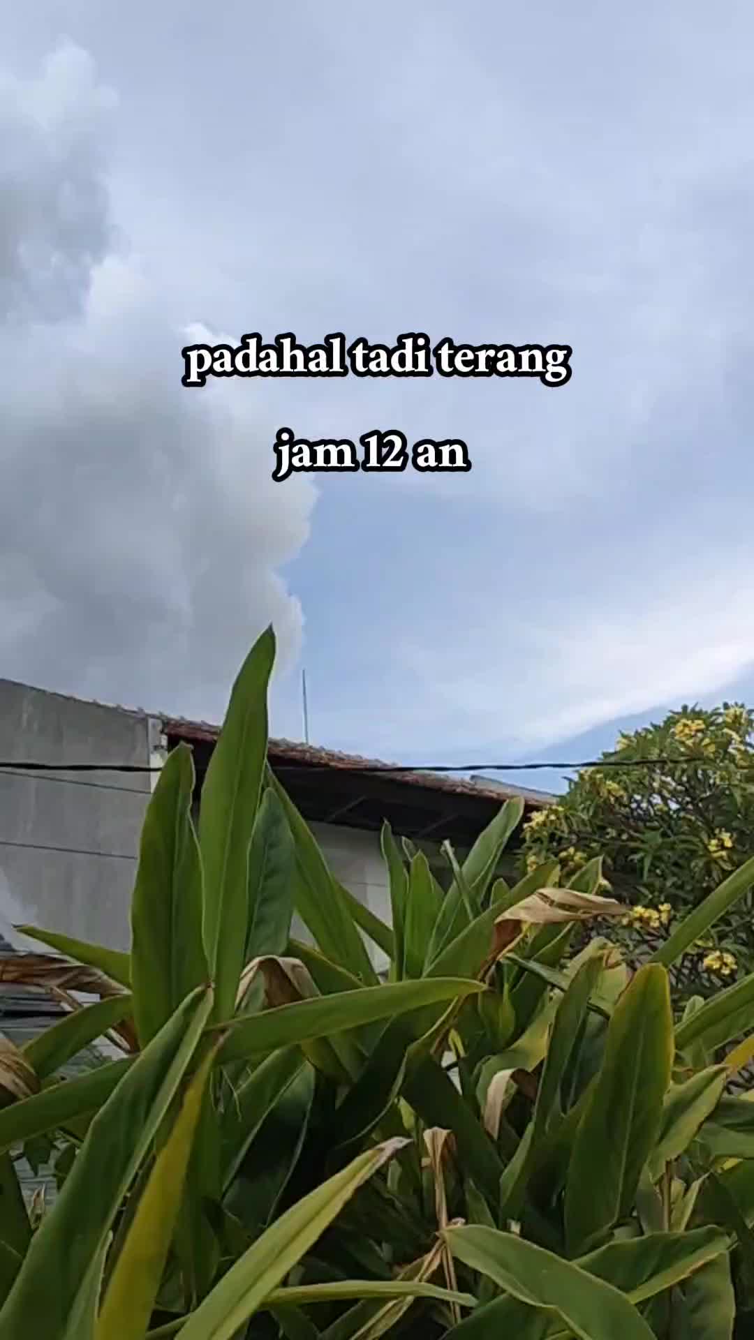 @Alina Yunita