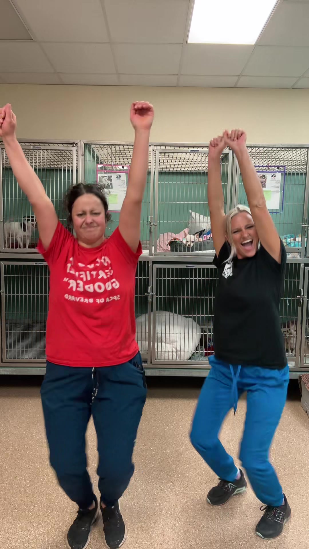 @2vettechs