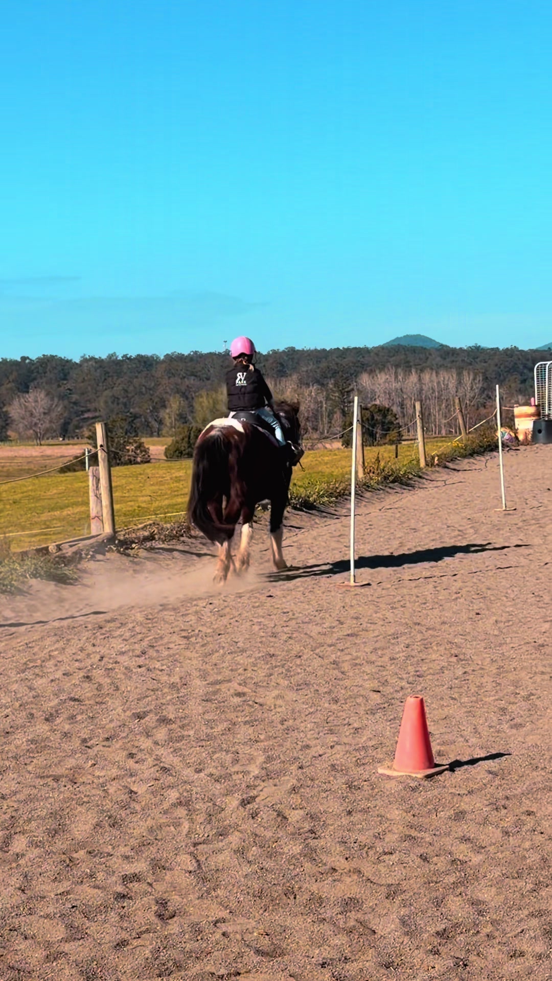 @RV Park Show Ponies