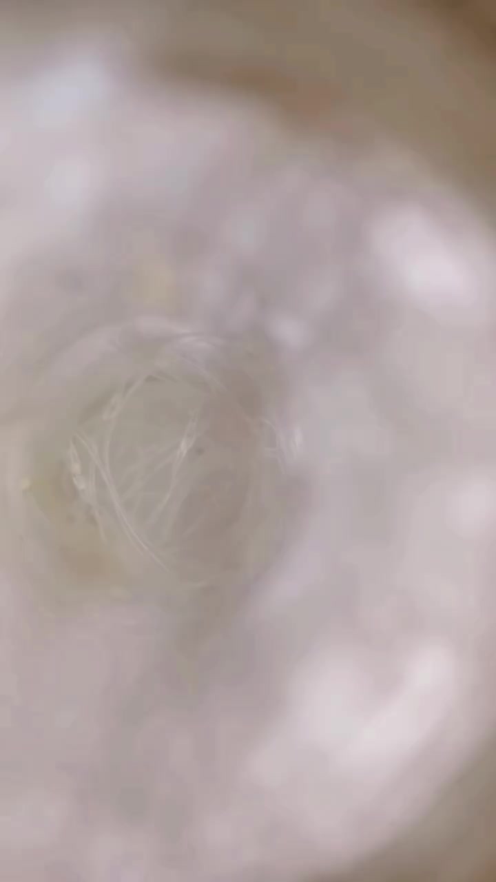 @김똔꼬