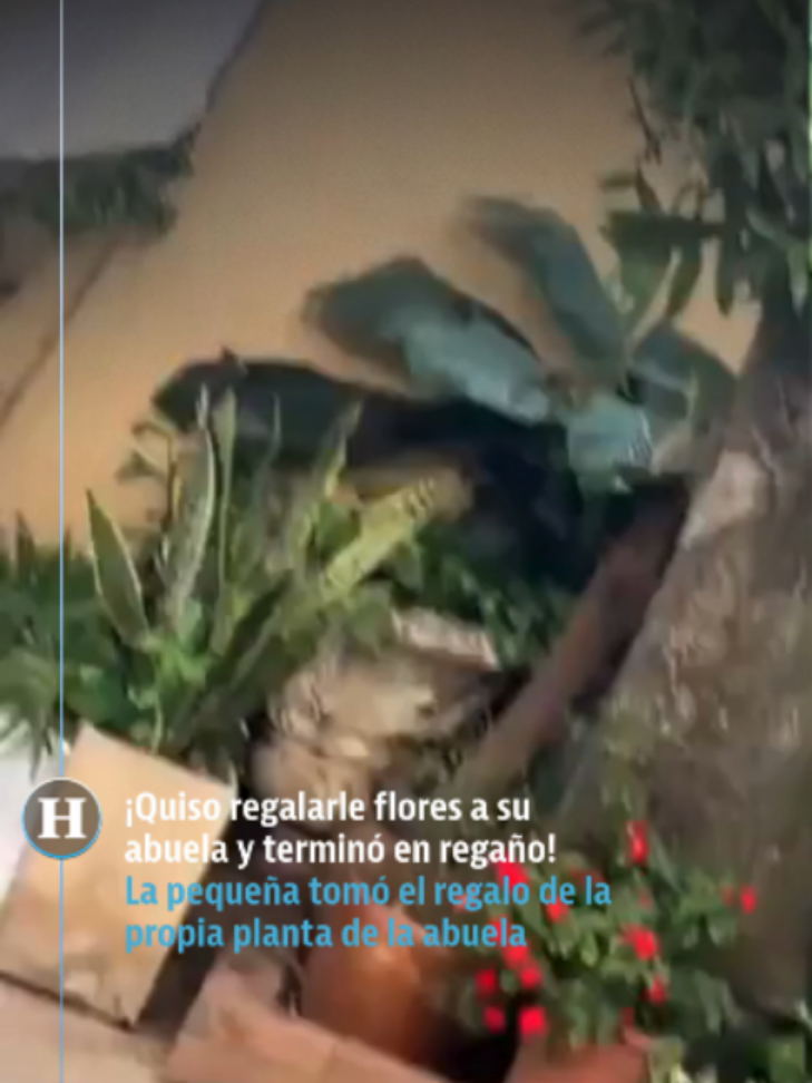 @elheraldodemexico