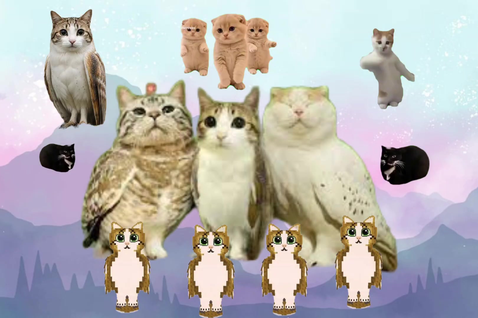 @meowl