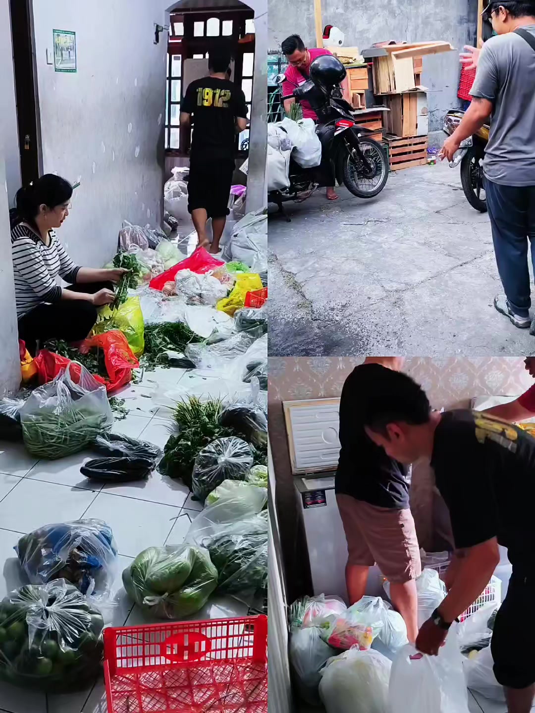 @supplier sayur dan buah sby