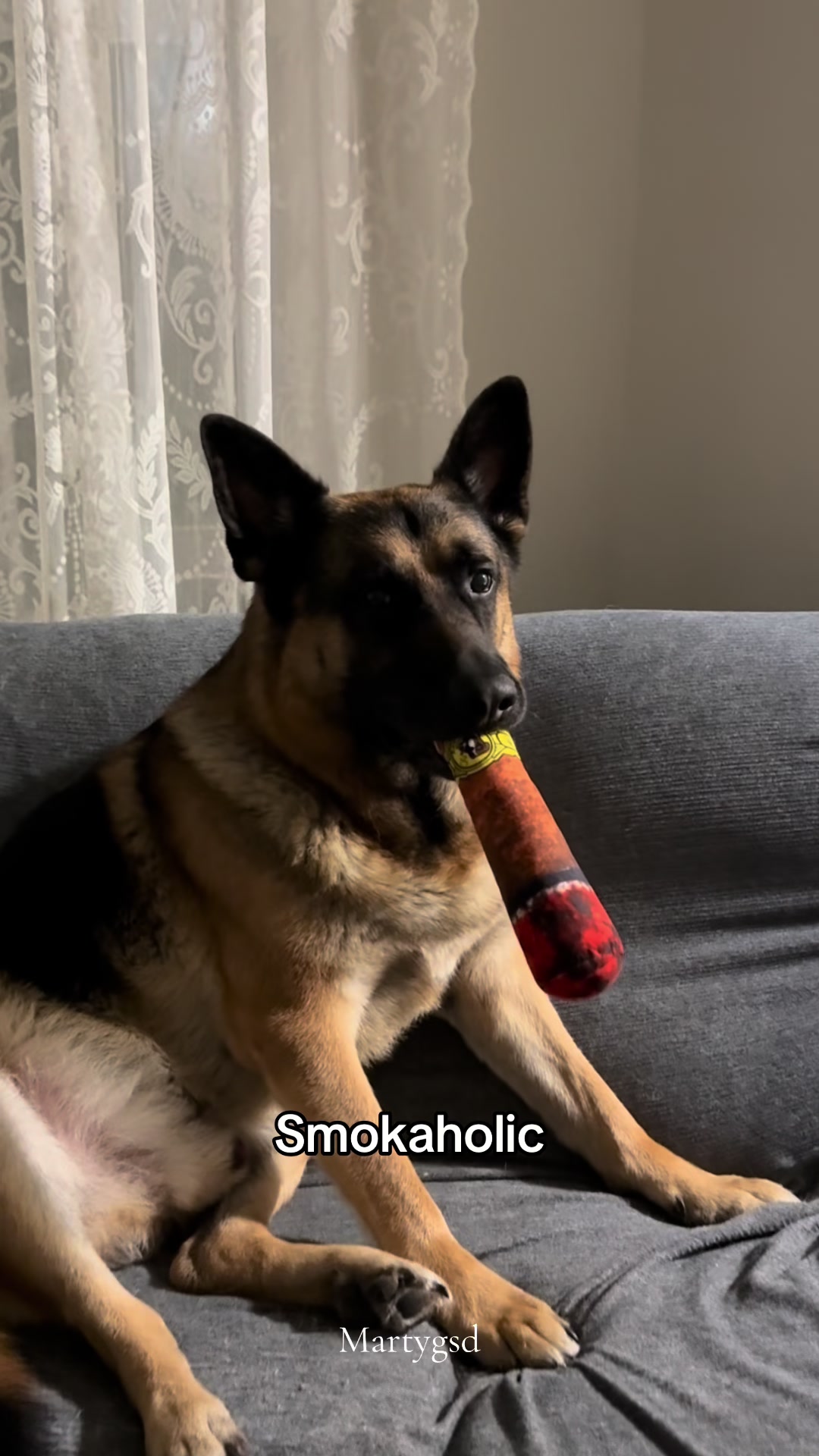 @Martygsd