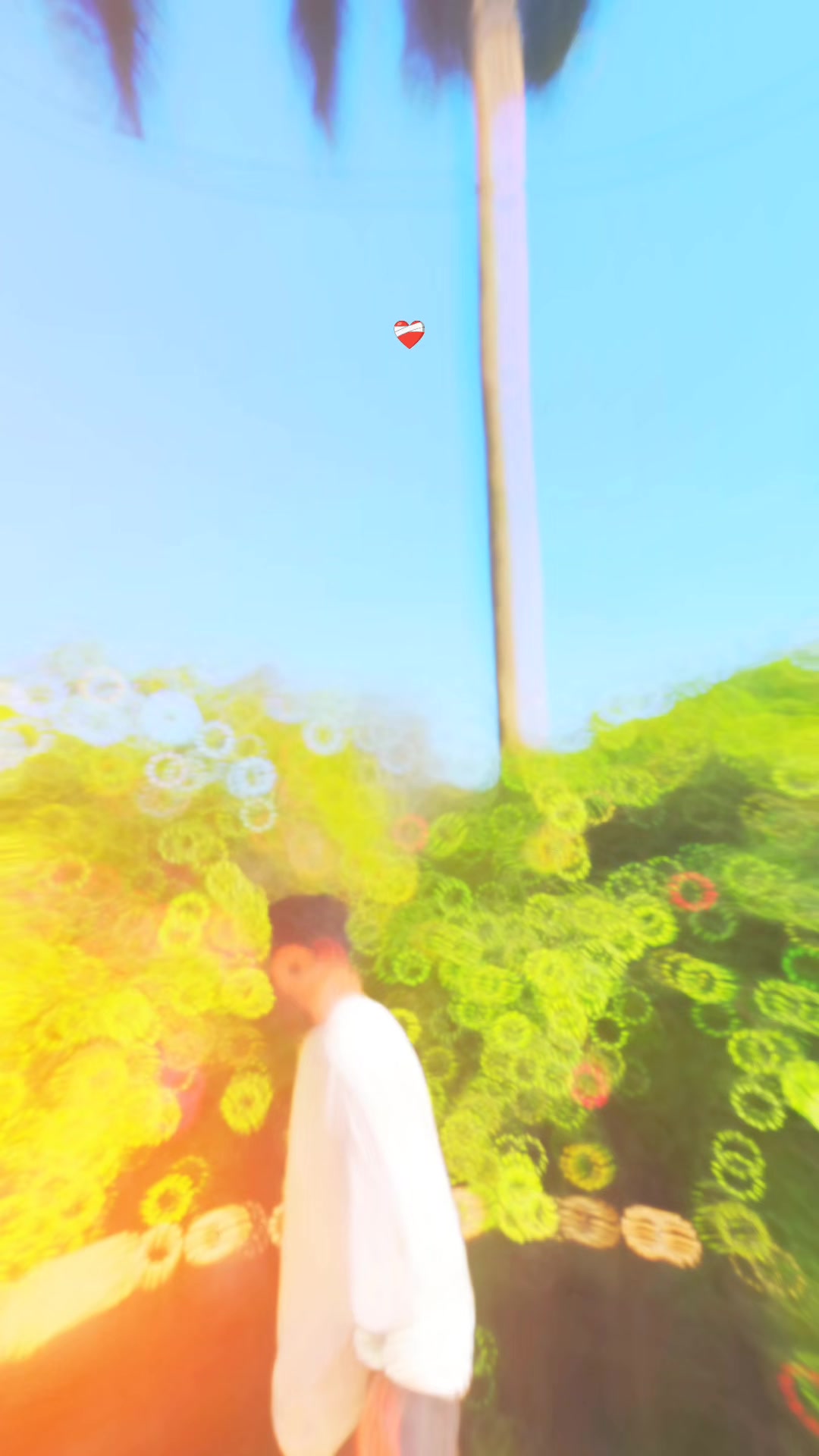 @༒︎🇷 🇴 🇭 🇮 🇹 🇺 ♡シ︎