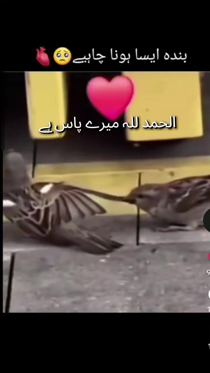 @میری زندگی ہے آپ شاہ جی 💯♥️✨