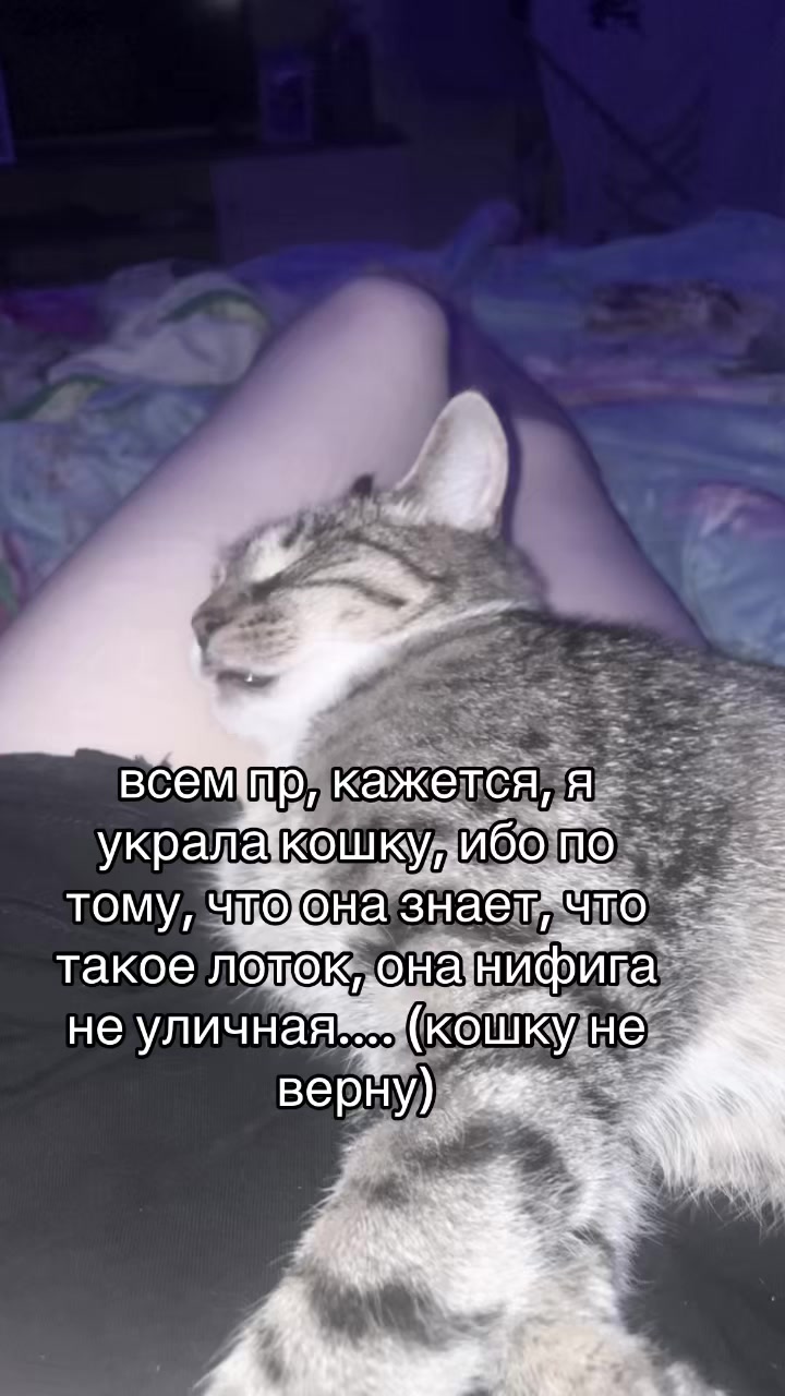 @дурочка жен