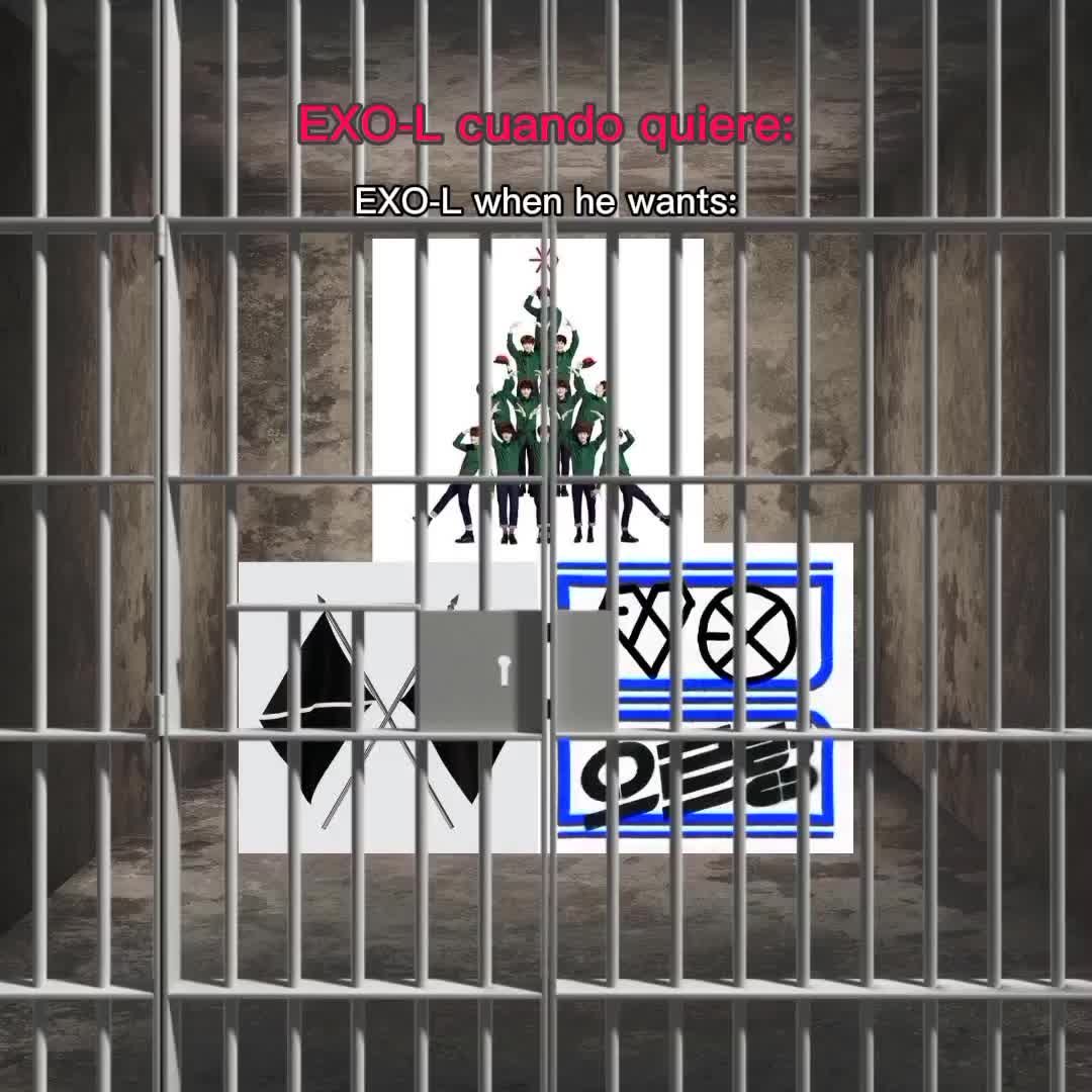 @𐚁 ֹ ִ ♡ ୧ ֹ ִ🪼