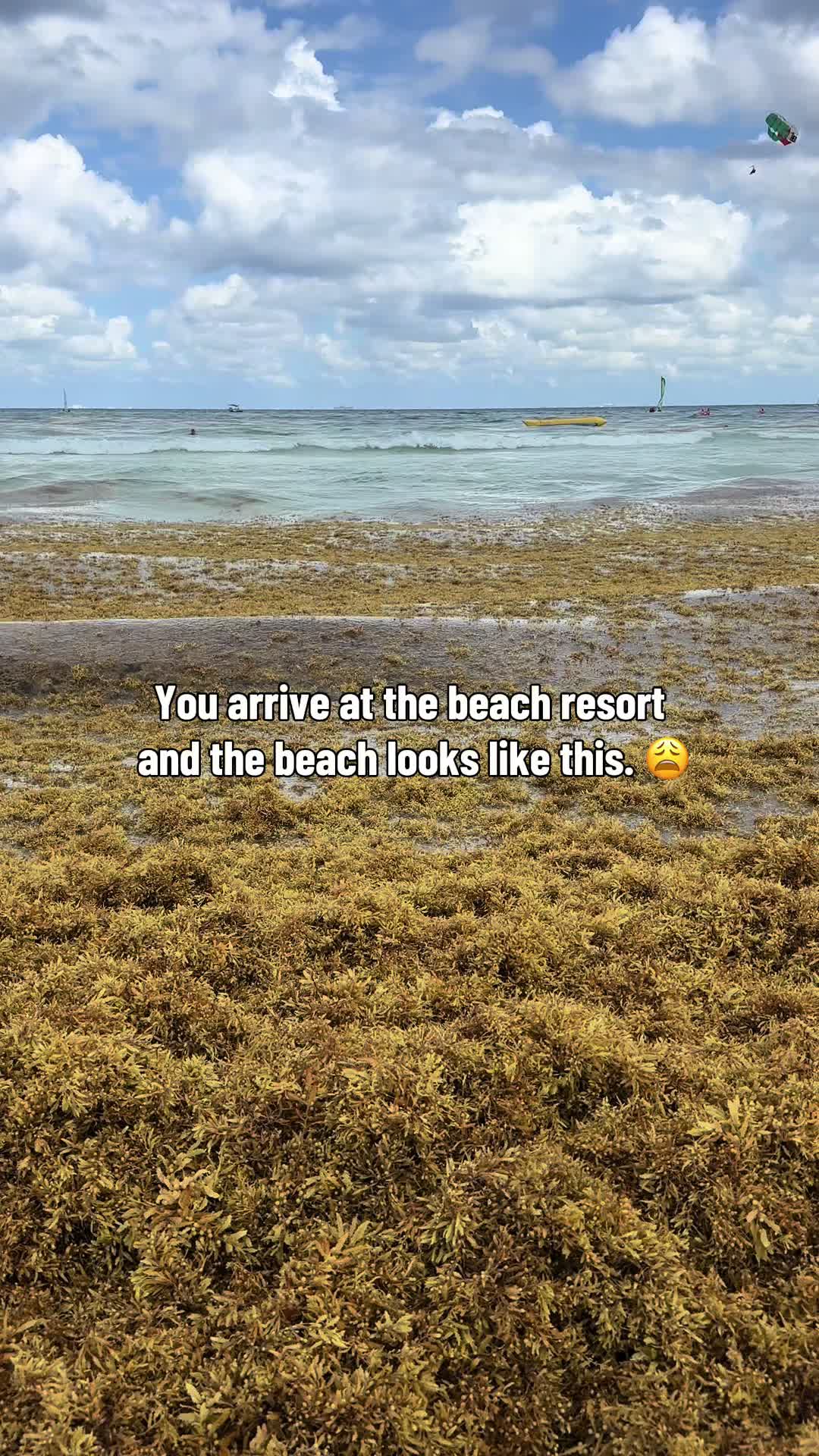 @michelle