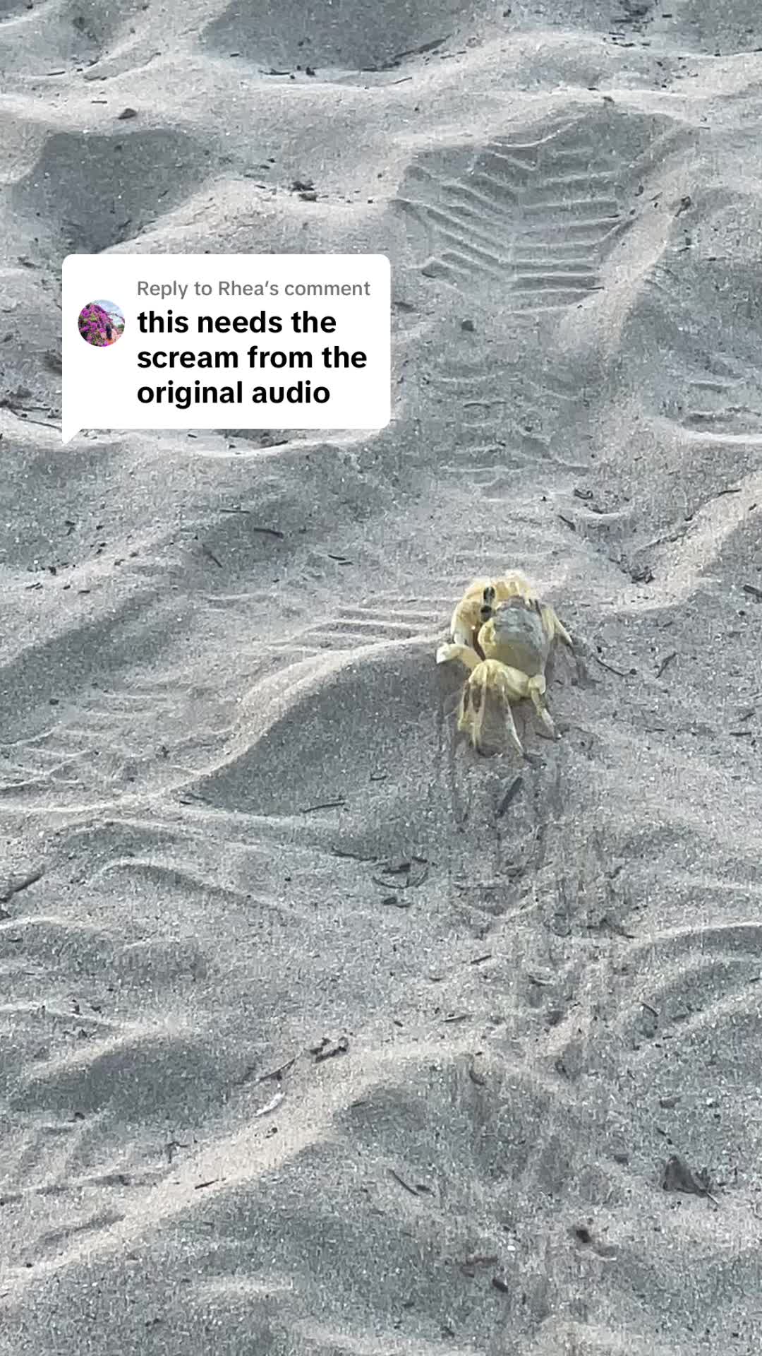 @N