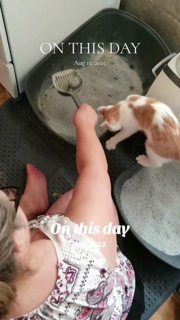 @Eager Cat Dad