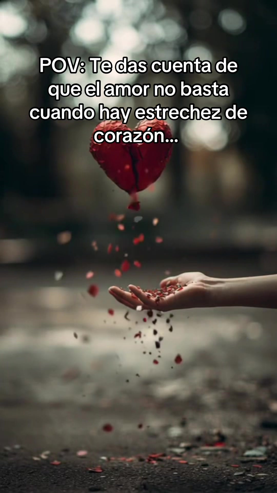 @☪️Carleins♋️