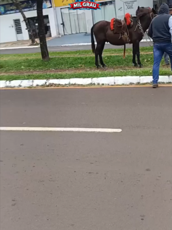 @Gua&iacute;ra Mil grau Oficial