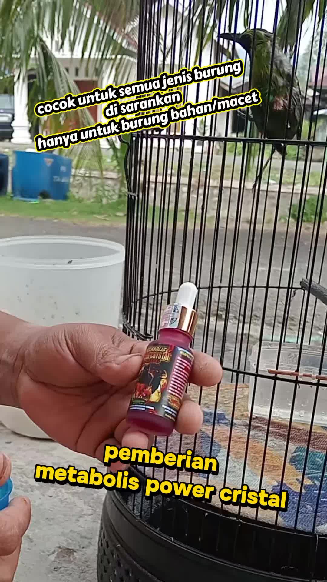 @dunia ternak