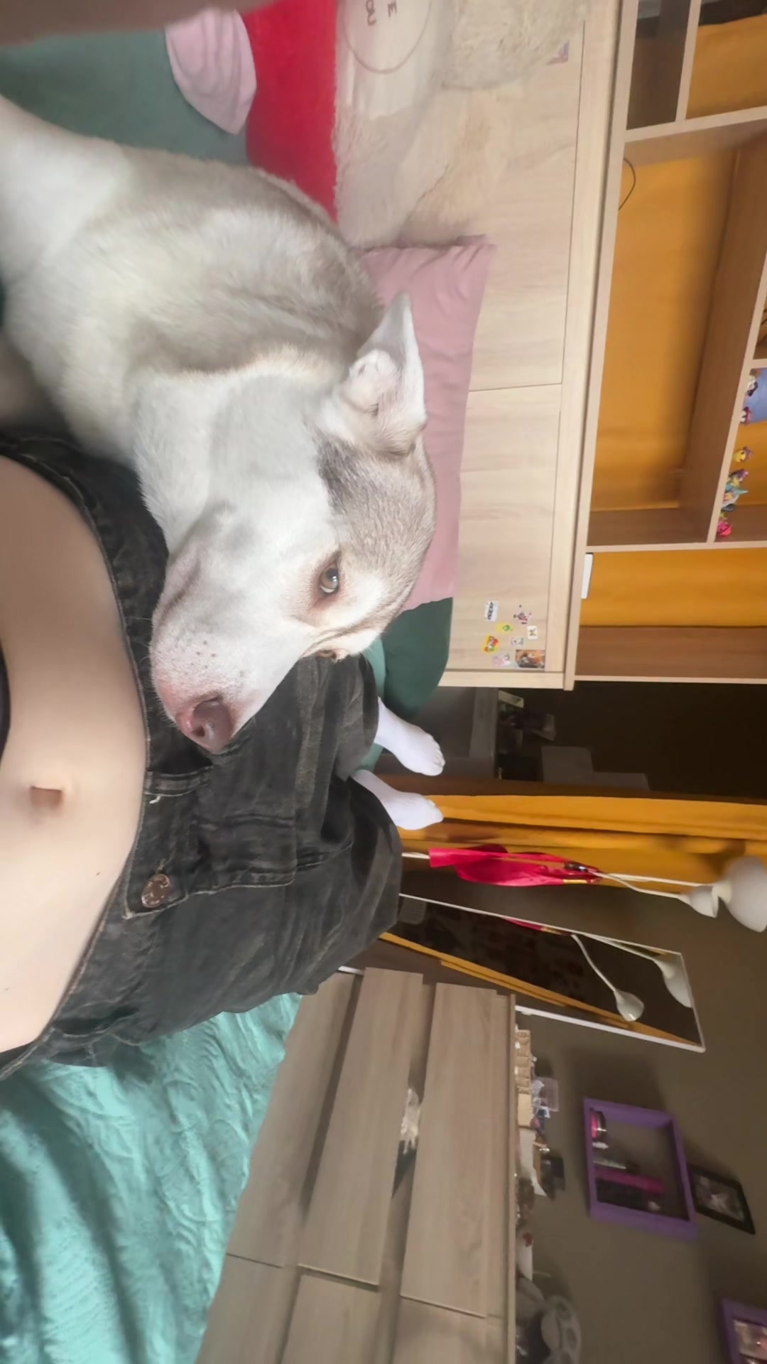 @PSINAXD