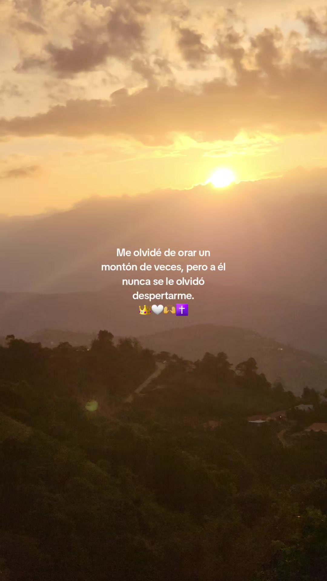@🤍🌷Sucely🌷👑