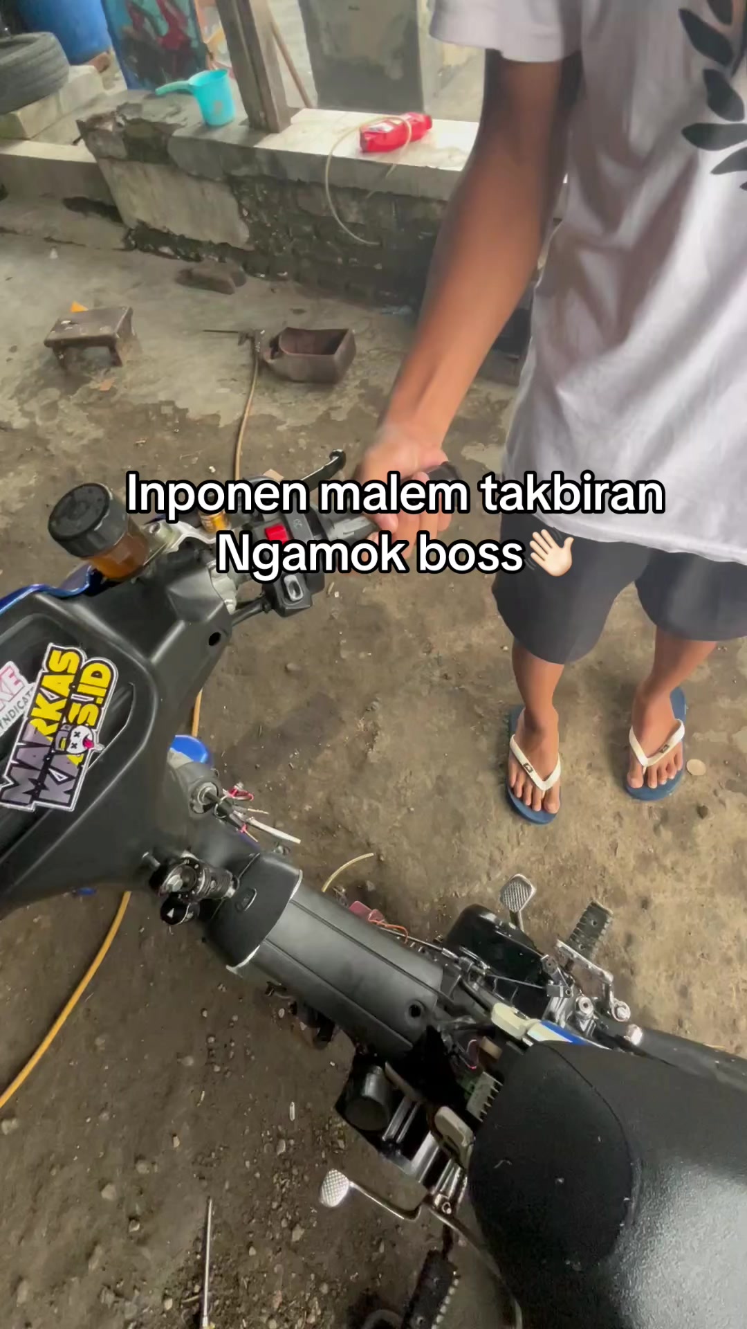 @biloss