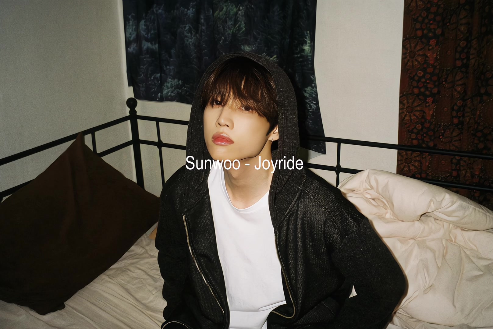 @sunbeloved🦝
