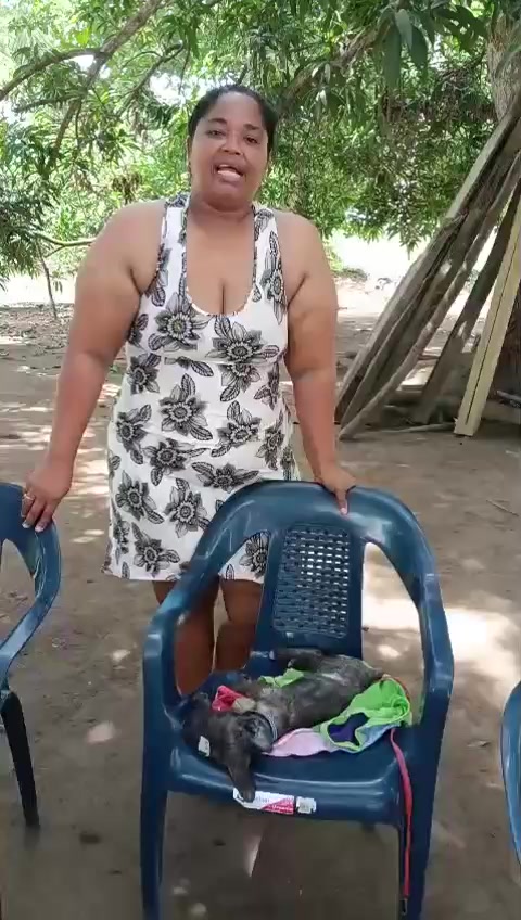 @BelitaPets