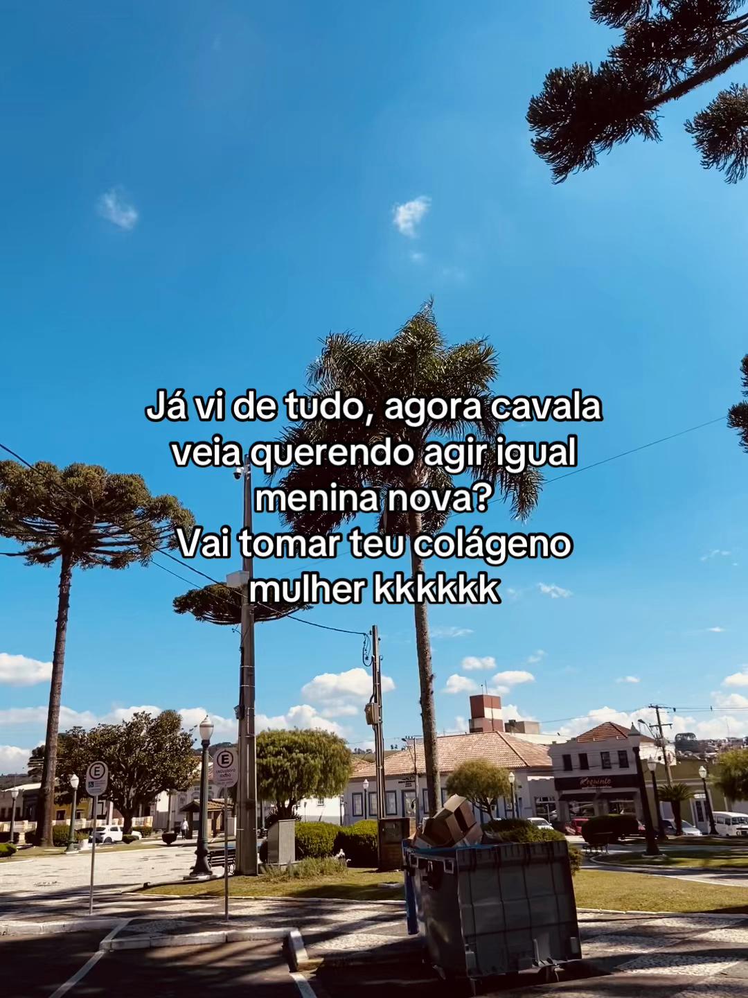 @hey.castanho🐻