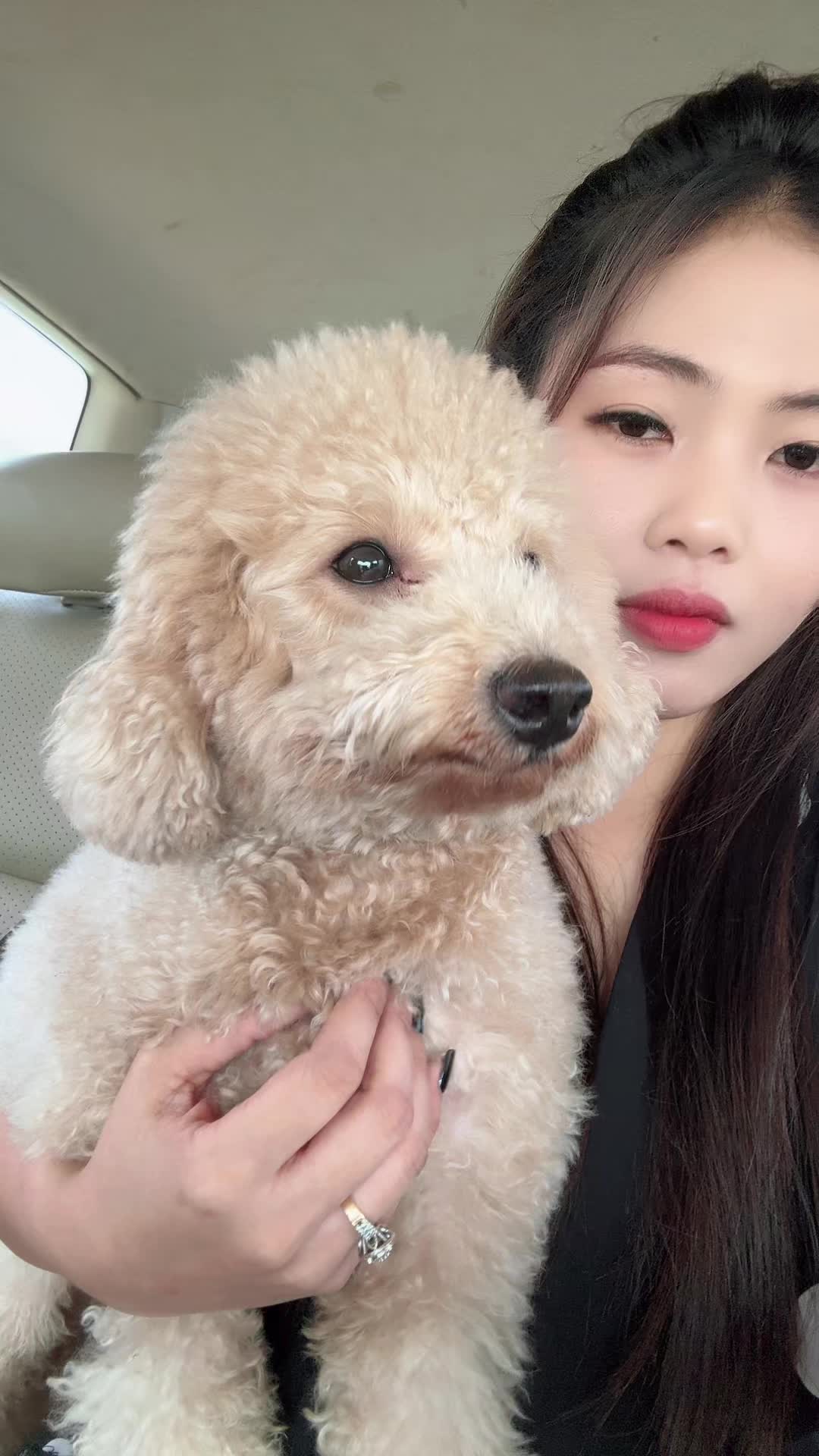 @阿拉