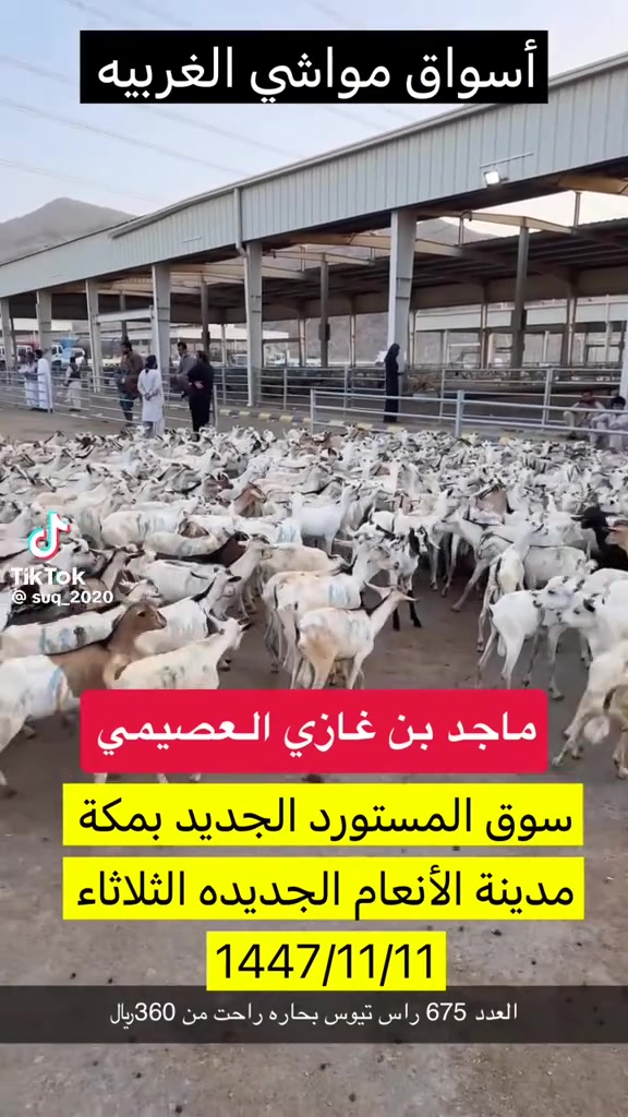 @mohamed_ksa0