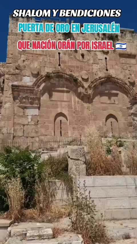 @Haim Israel jai 🇮🇱