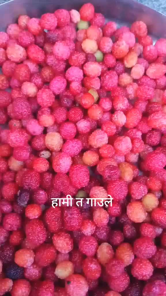 @manmaya oli