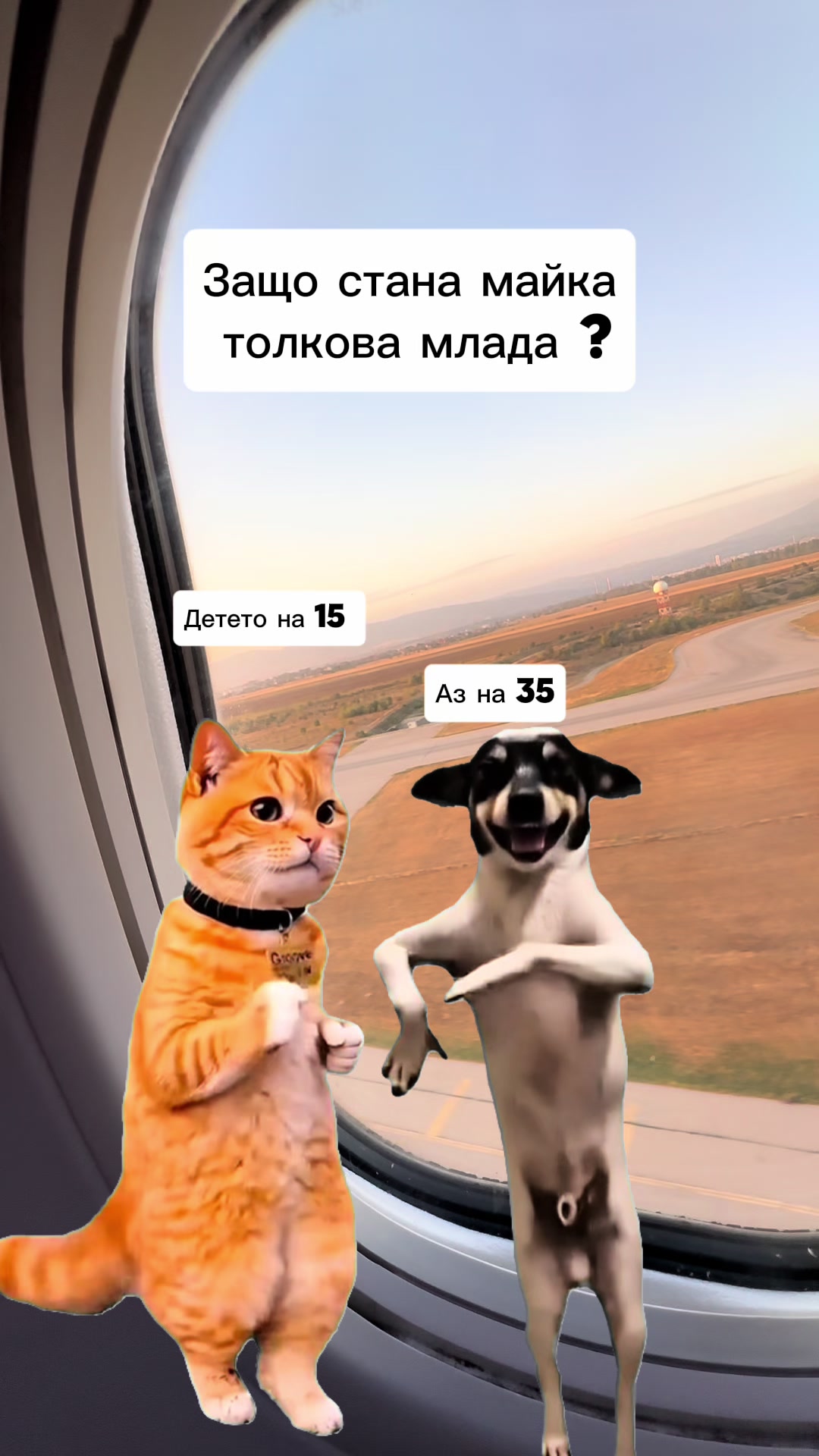 @🐍Петя Нешкоска🐍