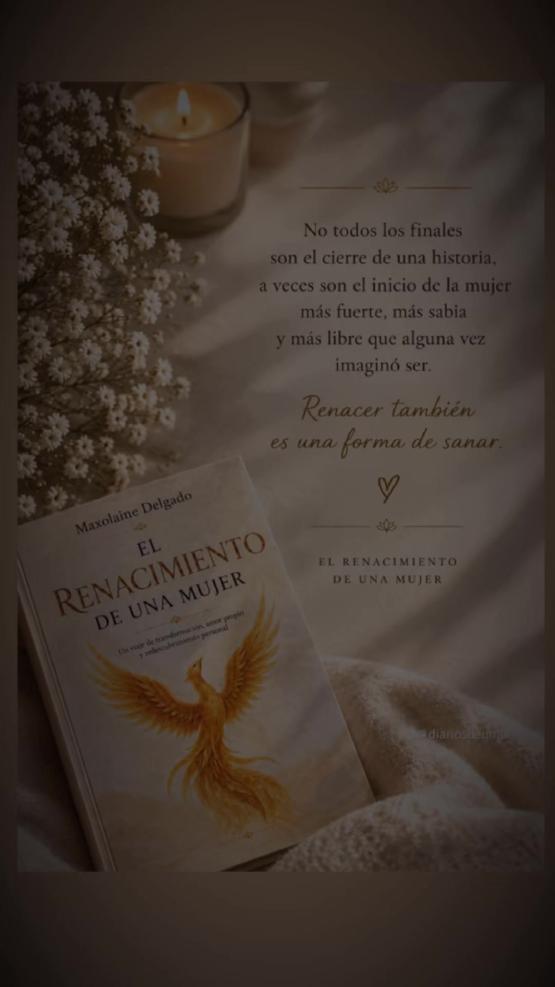 @@mariafernanda🧬🫰🦿