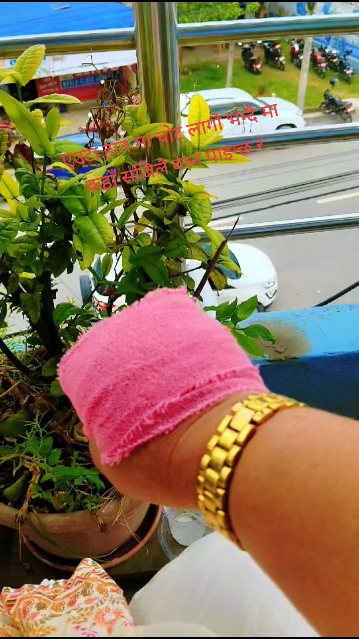 @Sabita Karki
