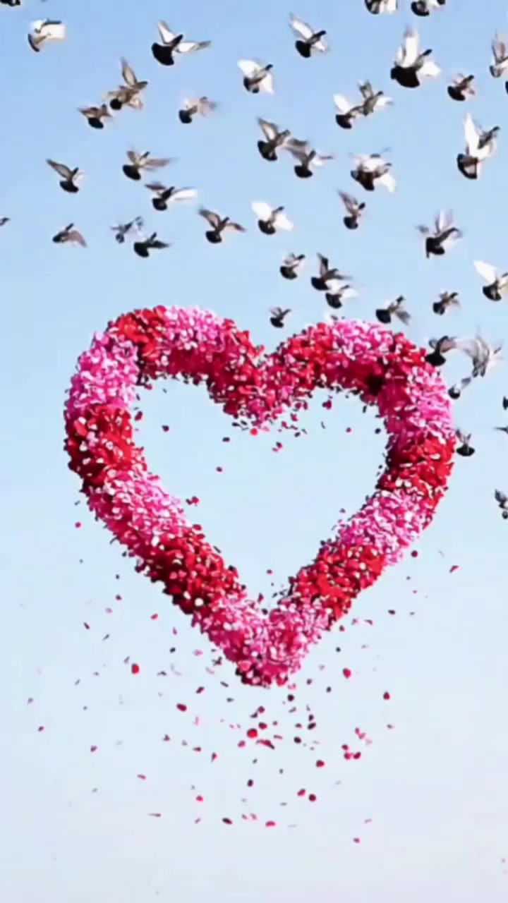 @Any ❤