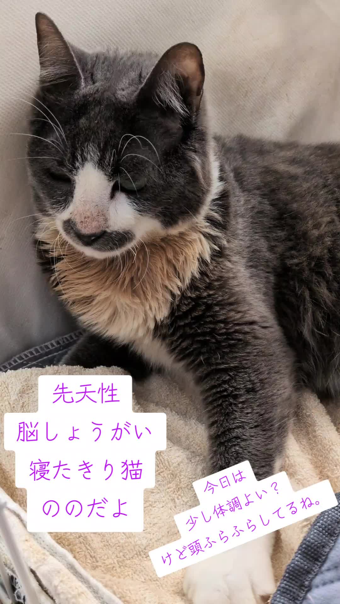 @てんきな